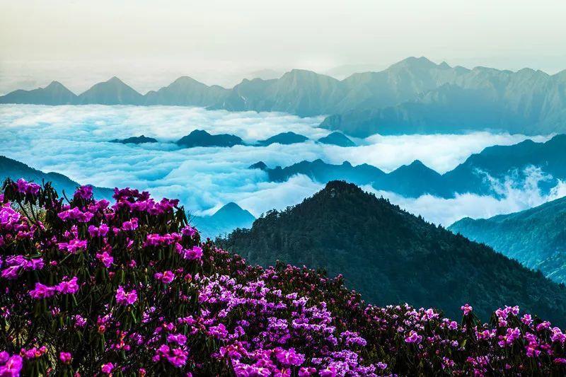 眼睛比你大你嫉妒了是不是怎么怼？
